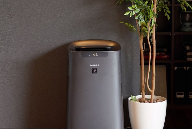 Cách bảo dưỡng máy lọc không khí Sharp 1