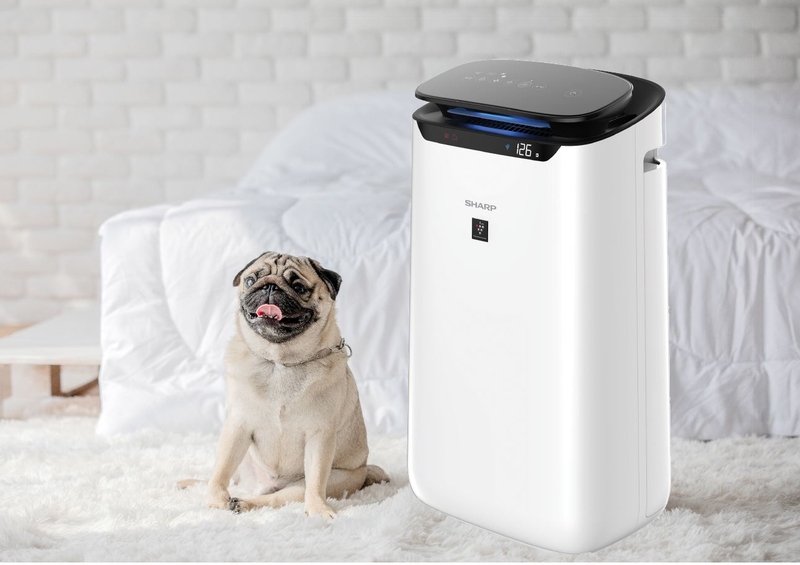 Cách bảo dưỡng máy lọc không khí Sharp 2