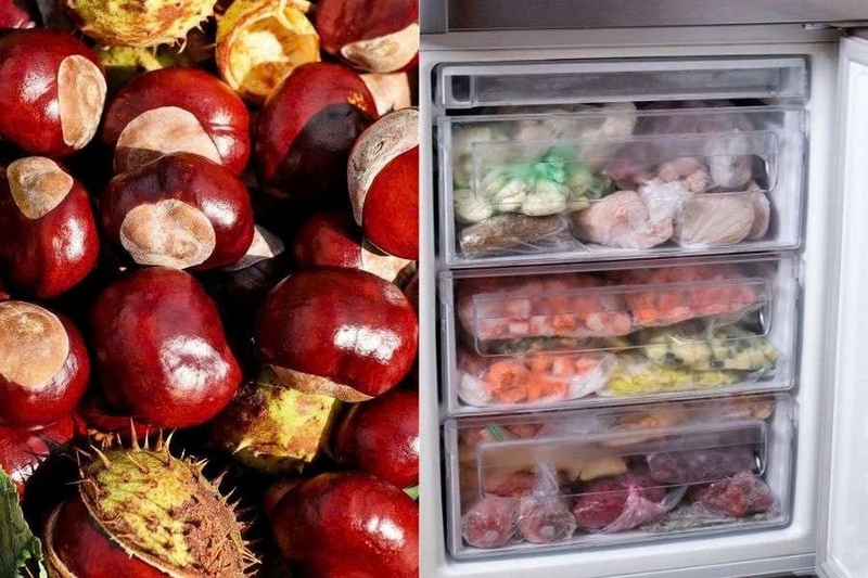 Cách bảo quản hạt dẻ tươi trong tủ lạnh ảnh 2