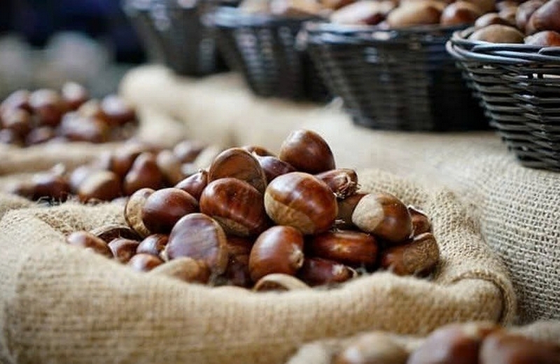 Cách bảo quản hạt dẻ tươi trong tủ lạnh ảnh 5