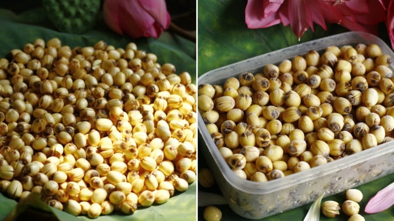 cách bảo quản hạt sen tươi trong tủ lạnh không bị thâm ảnh 4