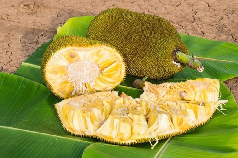 Bảo quản mít trong tủ lạnh - 04