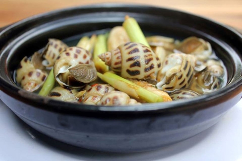 cách bảo quản ốc hương (ảnh 6)