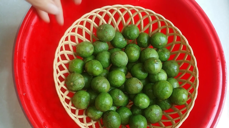 cách bảo quản quả sấu 2