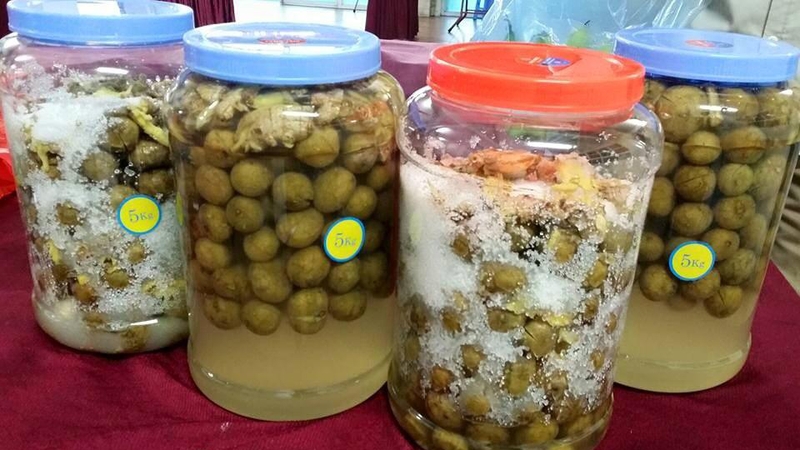 cách bảo quản quả sấu 5