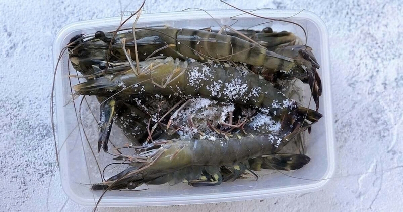 cách bảo quản tôm tươi không có tủ lạnh ảnh 3