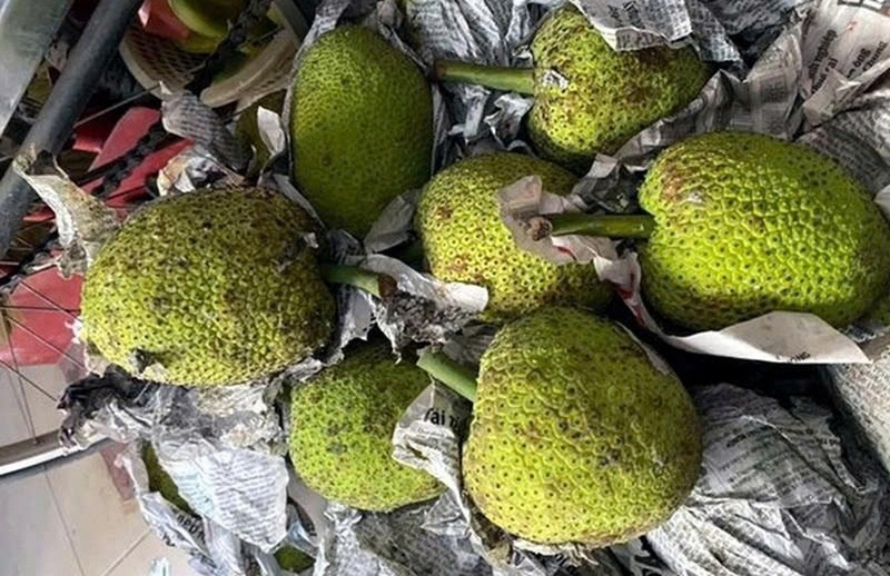 Cách bảo quản trái sake trong tủ lạnh ảnh 3