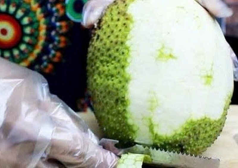 Cách bảo quản trái sake trong tủ lạnh ảnh 4