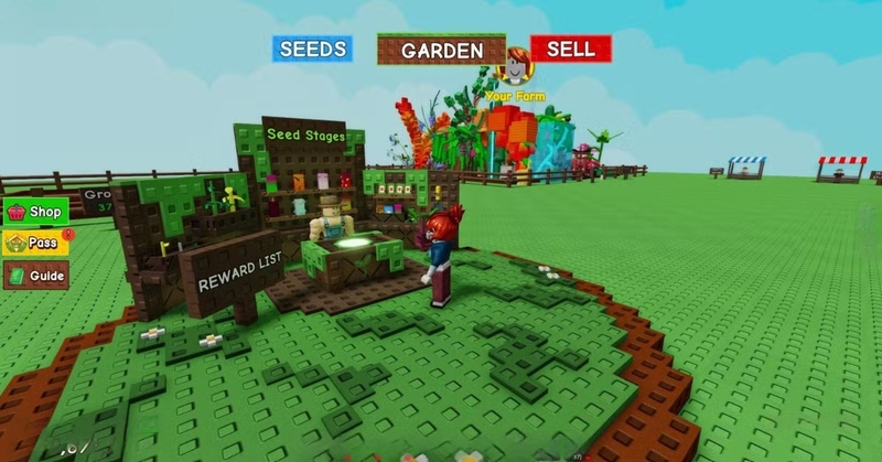 cách chăm sóc cây Evo Plant hình 2.jpeg