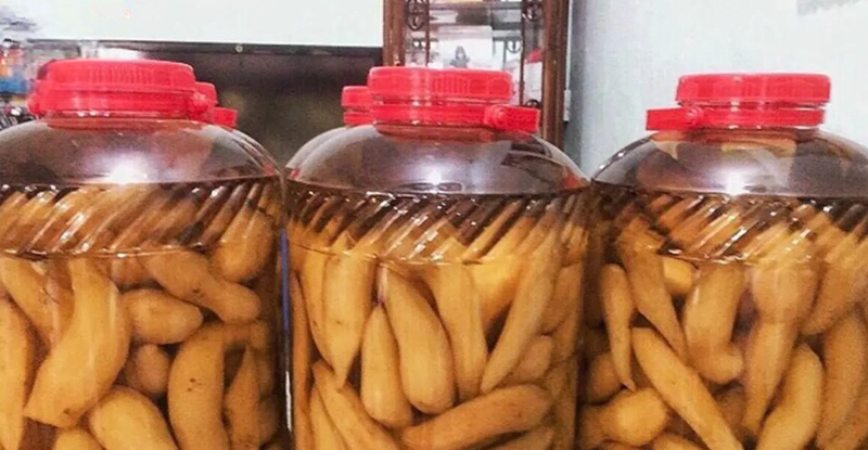 Rượu sâm đất