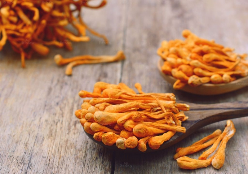 Ăn đông trùng hạ thảo như thế nào là đúng cách?