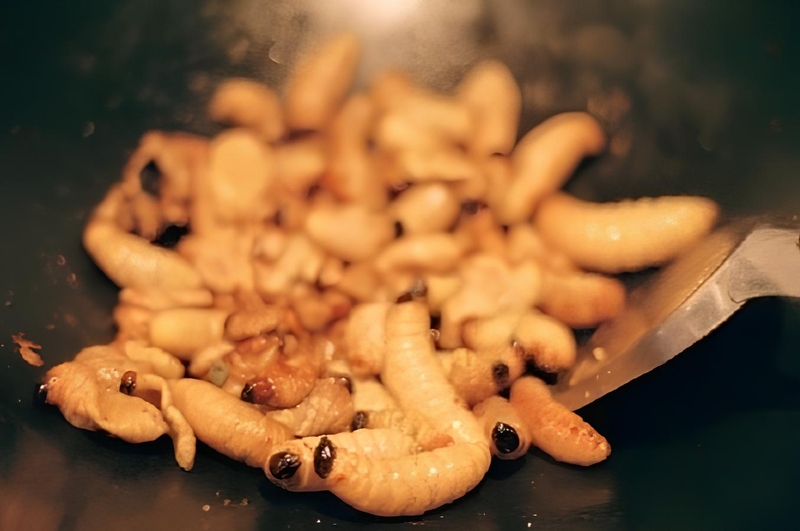 Tăng cường hệ miễn dịch