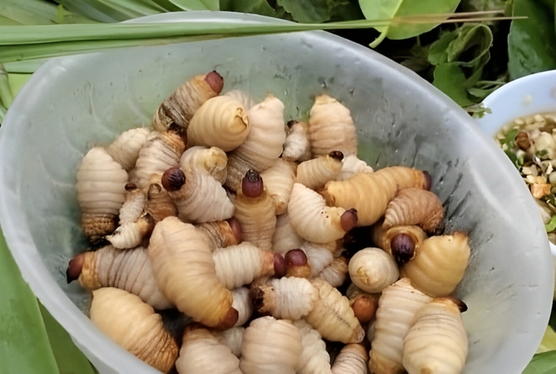 Chuẩn bị nguyên liệu