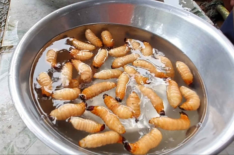 Hướng dẫn cách chế biến đuông dừa lội nước mắm