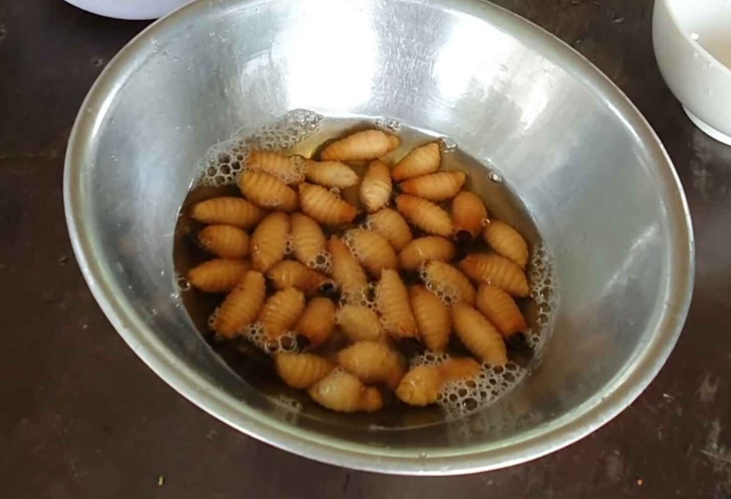Ngâm đuông dừa trong bia