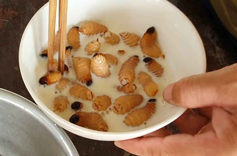 Ngâm đuông dừa trong sữa tươi