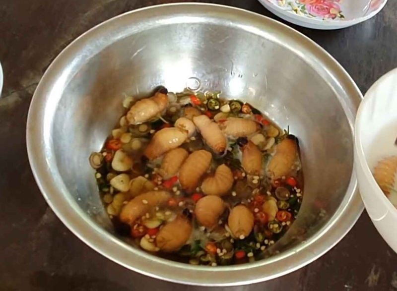 Cho đuông dừa lội nước mắm