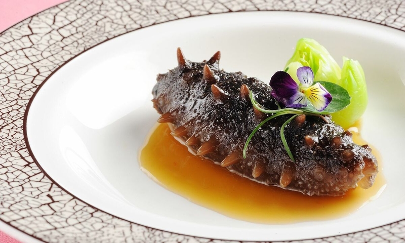 cách chế biến hải sâm đông lạnh 5