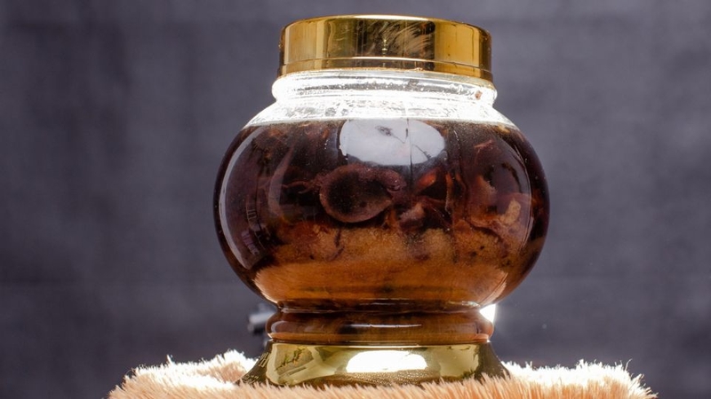 Nhung hươu tươi ngâm mật ong