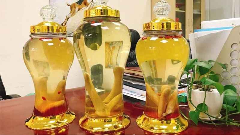 Nhung hươu tươi ngâm rượu