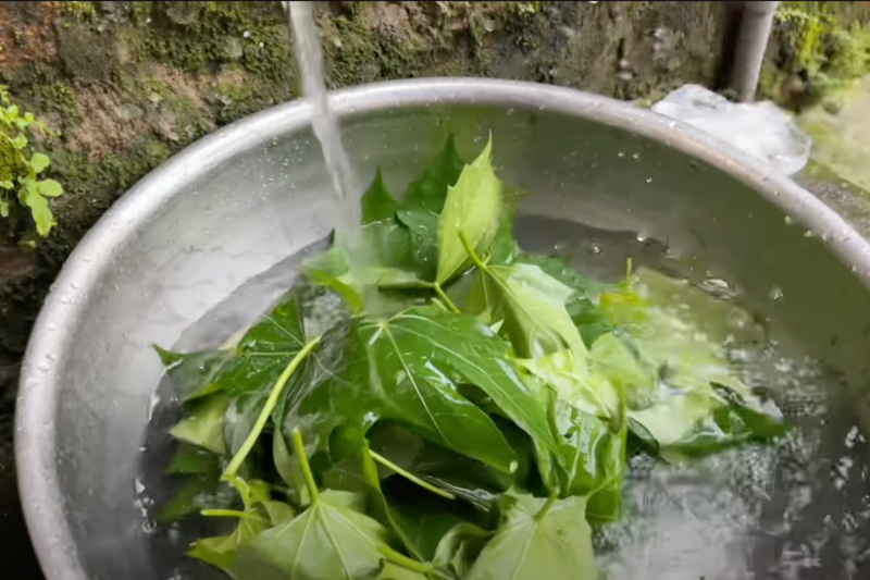 Cách chế biến rau mì chính (2)