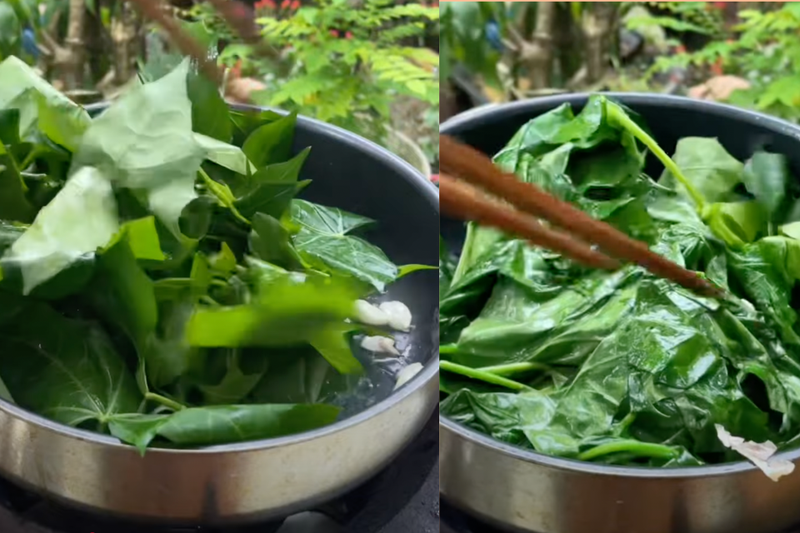 Cách chế biến rau mì chính (5)