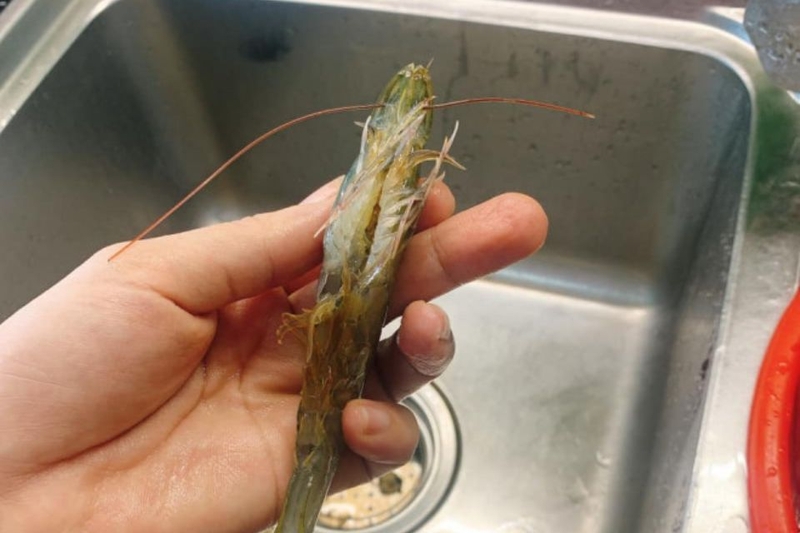 Sau khi làm sạch, tôm vẫn nguyên vẹn