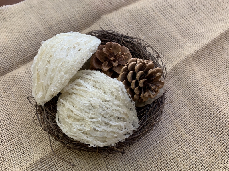 chế biến yến sào ảnh 4