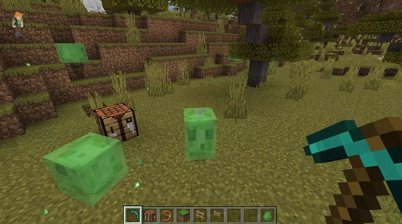 Chế tạo dây thừng trong Minecraft - 04