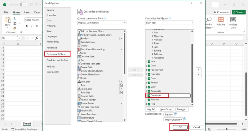cách chèn và tùy biến nút chọn trong excel hình 4