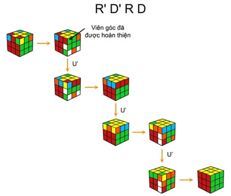 Tìm hiểu về các khối Rubik cơ bản