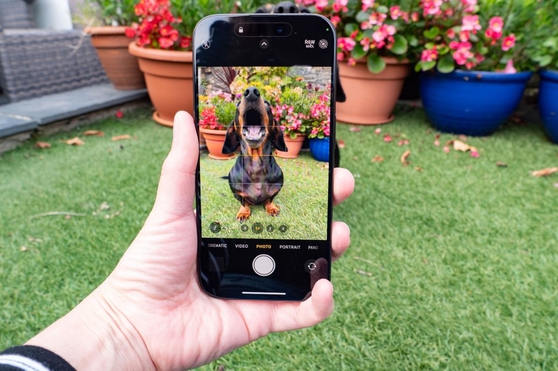 Cách chụp ảnh đẹp trên iPhone 15 Pro Max 5