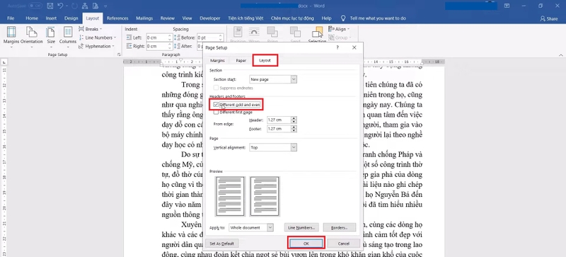 cách đánh số trang kiểu đối xứng trên word hình 5