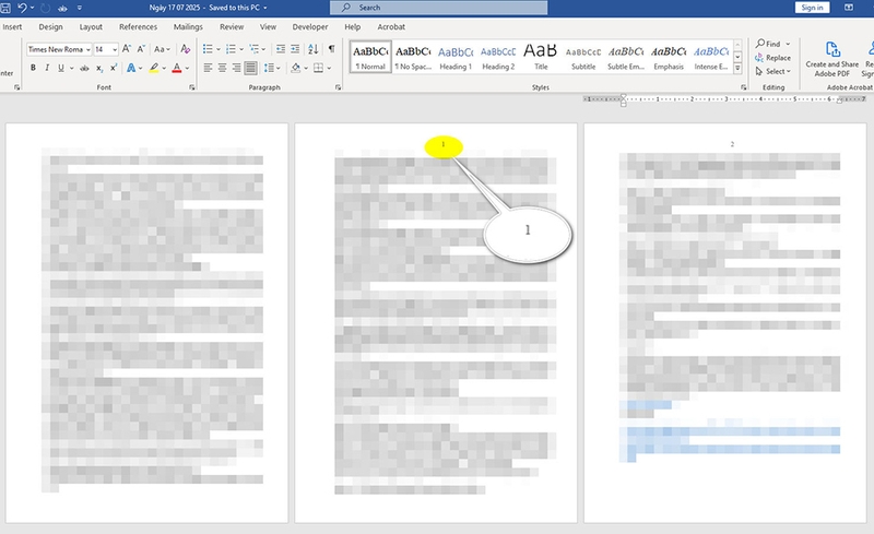 Cách đánh số trang từ trang 2 - 02