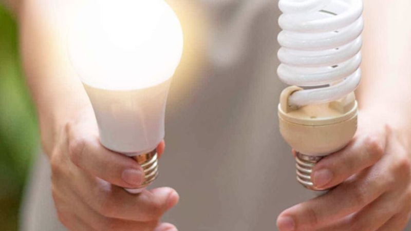 Cách đấu công tắc điện có 2 công tắc và 2 bóng đèn âm tường