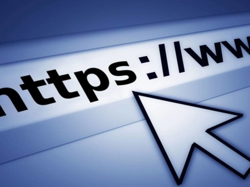 Email và địa chỉ website