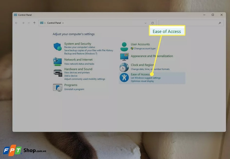 Cách đổi hình chuột máy tính - 08