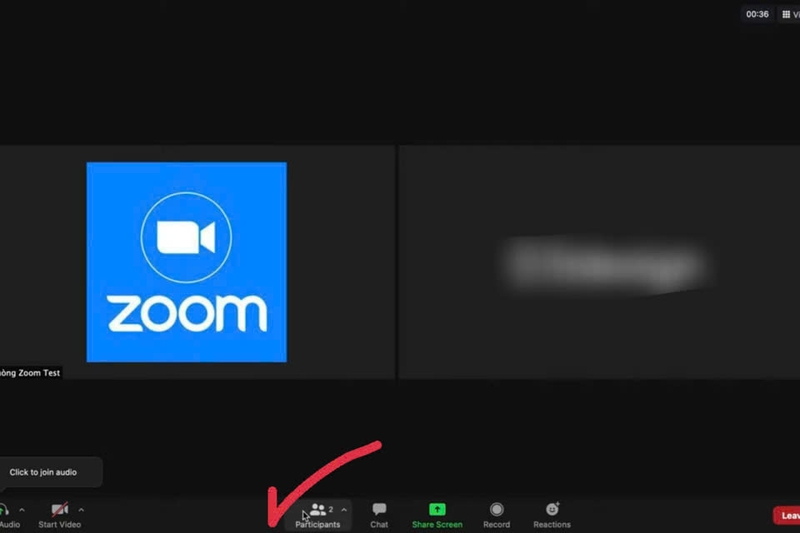 Nhấp vào Participants ở góc dưới bên phải màn hình