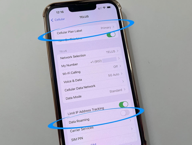 Chọn đúng line dữ liệu và tắt roaming trên SIM chính