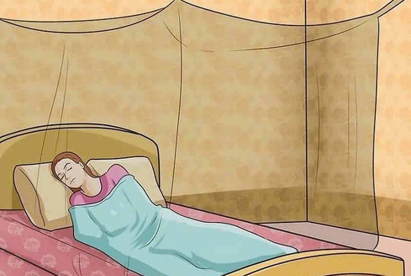 cách đuổi muỗi trong phòng ảnh 4