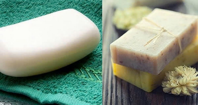 cách đuổi muỗi trong phòng ảnh 9