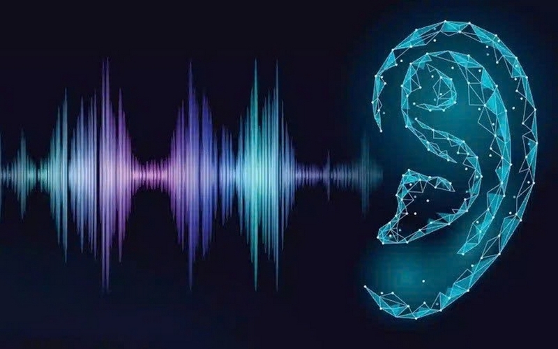 Cách đuổi rắn ra khỏi nhà ảnh 3