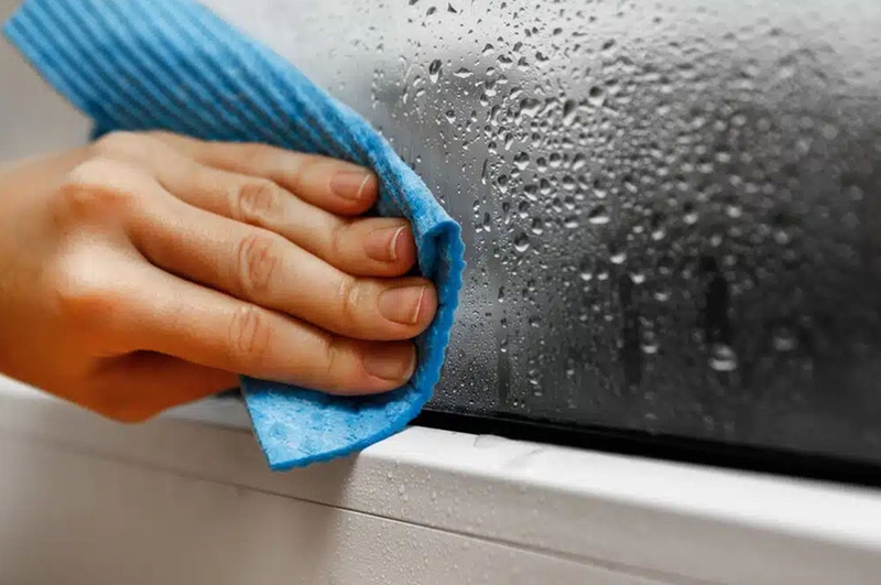 Cách đuổi rết khỏi nhà - 08