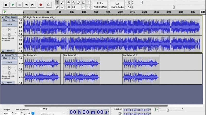 Audacity được nhiều người nghiệp dư hoặc bán chuyên sử dụng