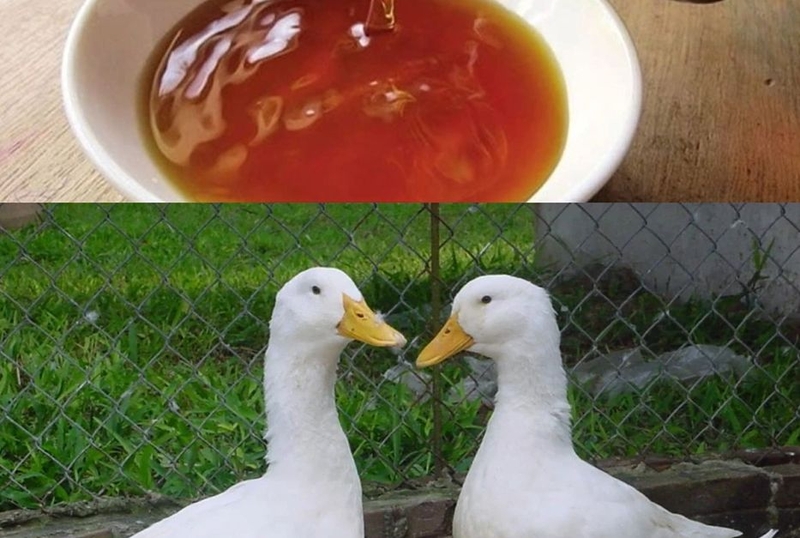 nguyen lieu ham tiet canh vit