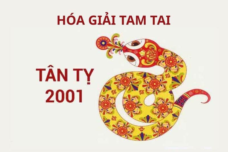 cách hóa giải tam tai tân tỵ