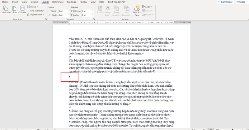 section trong word la gi