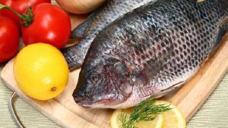 Cách lựa chọn cá rô phi ngon