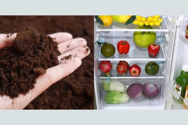 cách khử mùi tủ lạnh mới mua 6