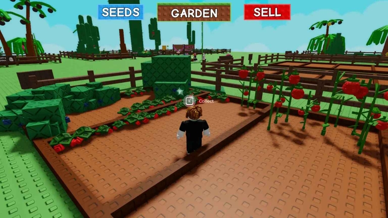 cách kiếm tiền nhanh trong Grow A Garden hình 2